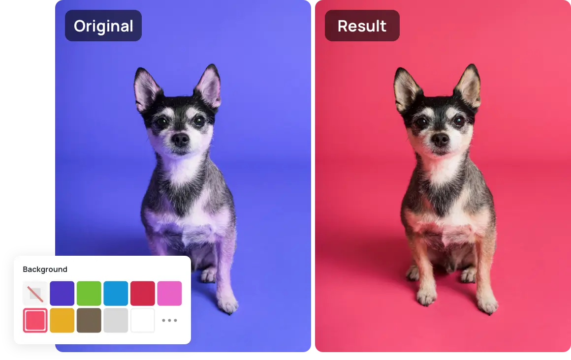 Image Recolor
