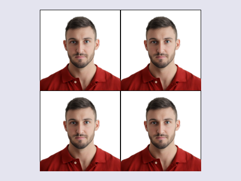 passport photo generator