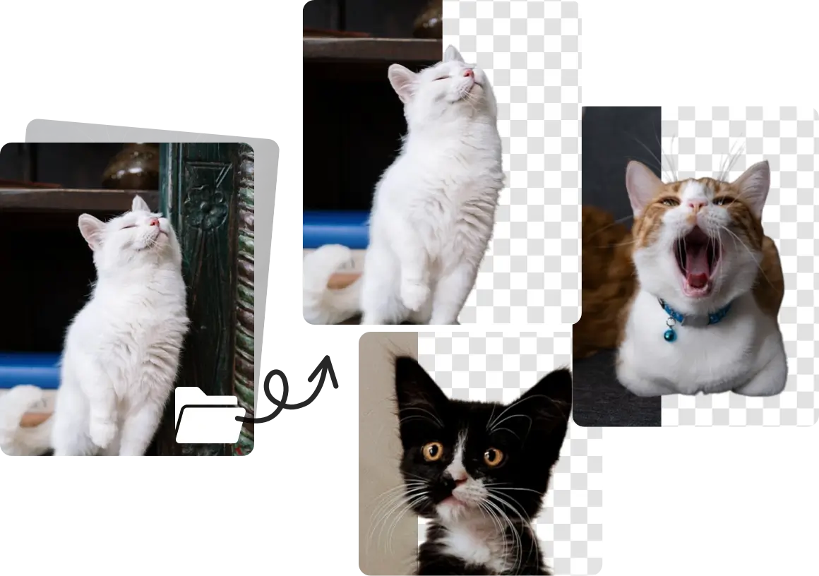 Background Remover for Amazon